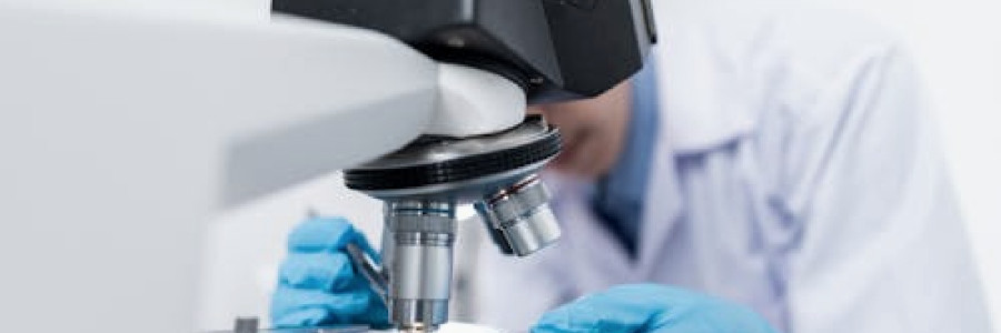 Quality Audits