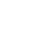 Fast Delivery